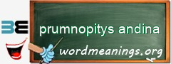 WordMeaning blackboard for prumnopitys andina